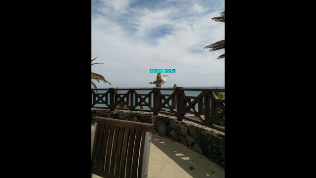 /assets/img/2019-11-01_python-opencv-birds2-640.jpg