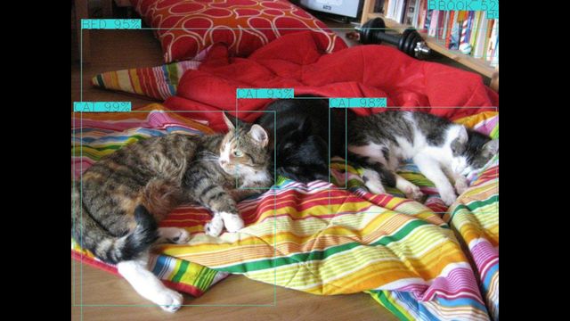 /assets/img/2019-11-01_python-opencv-cat2-640.jpg
